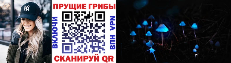 Псилоцибиновые грибы GOLDEN TEACHER  продажа наркотиков  Котлас 